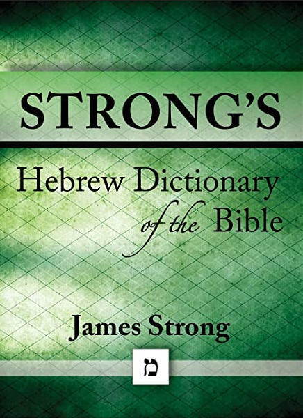 غلاف كتاب strong's hebrew dictionary بقلم مترجم عبري غلاف كتاب strong's hebrew dictionary بقلم مترجم عبري